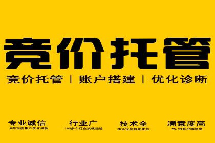 案例解析：如何通过推广竞价提升品牌知名度